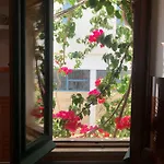 Downtown Calm House דירה