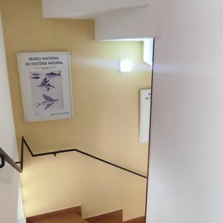 Downtown Calm House דירה *