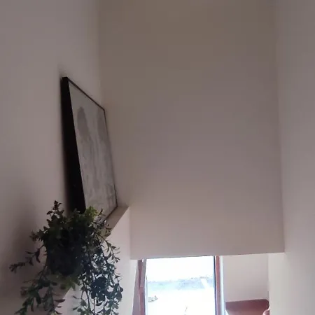 Downtown Calm House דירה