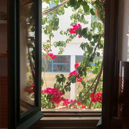 Downtown Calm House Appartement