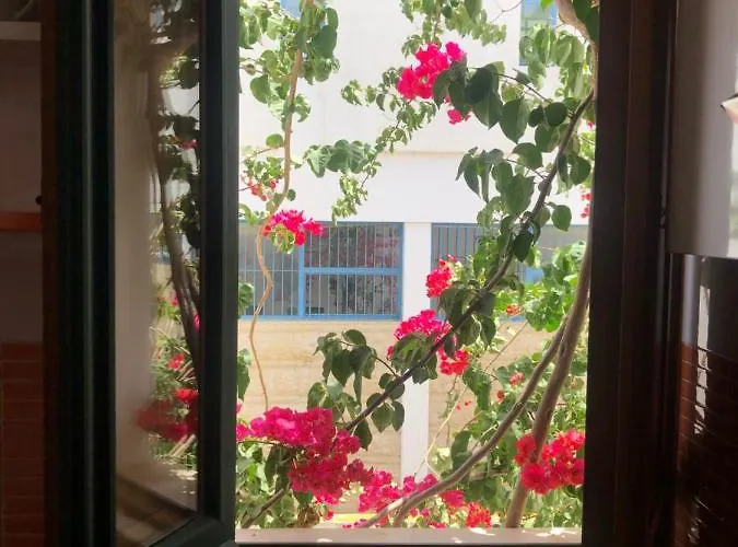 Downtown Calm House Lägenhet