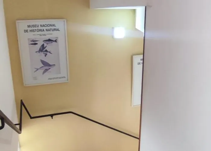 Downtown Calm House Apartment *